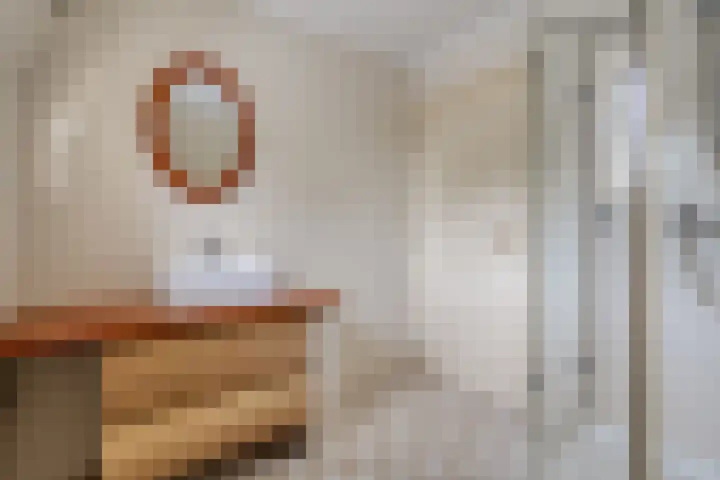 Dokter Larijweg 136 Ruinerwold thumbnail 46