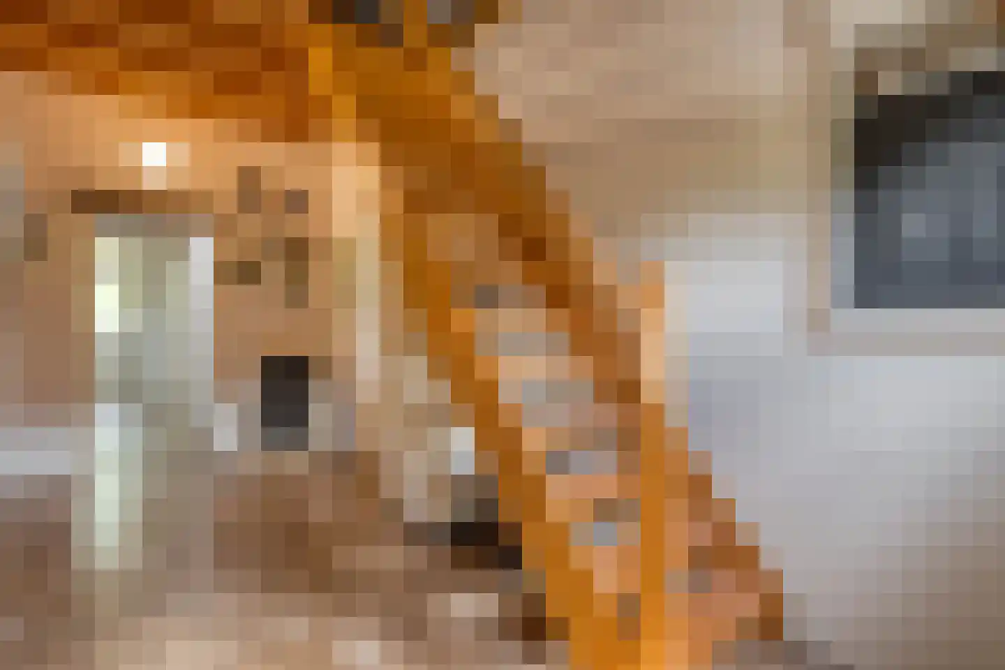 Dokter Larijweg 136 Ruinerwold thumbnail 53