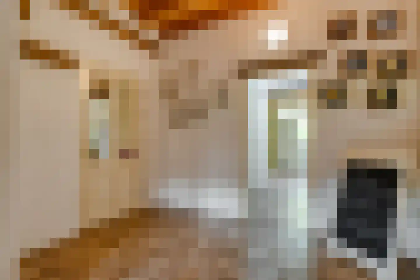 Dokter Larijweg 136 Ruinerwold thumbnail 54