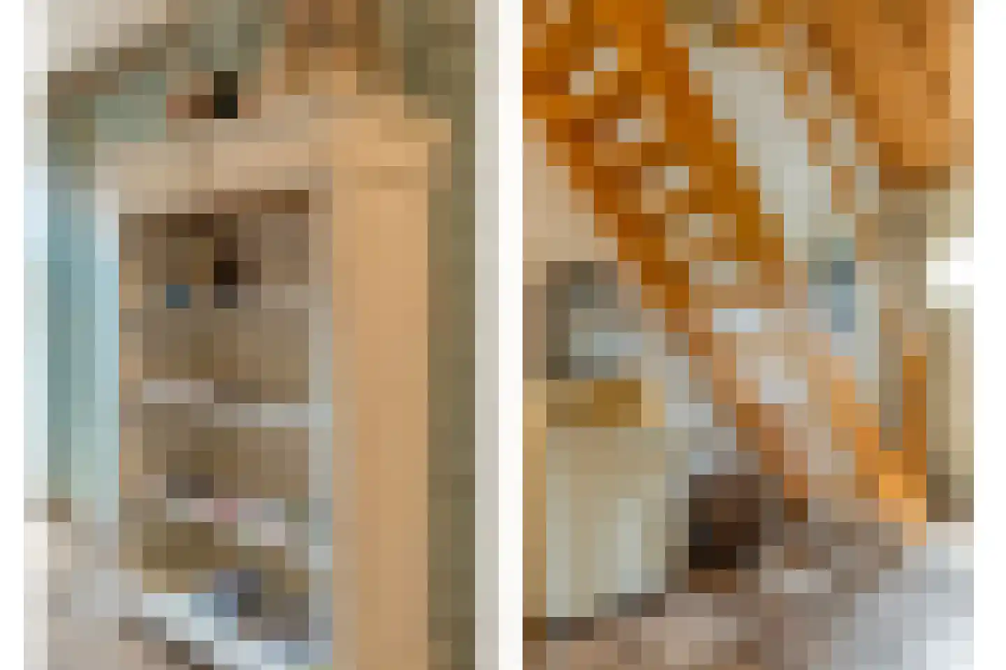Dokter Larijweg 136 Ruinerwold thumbnail 55
