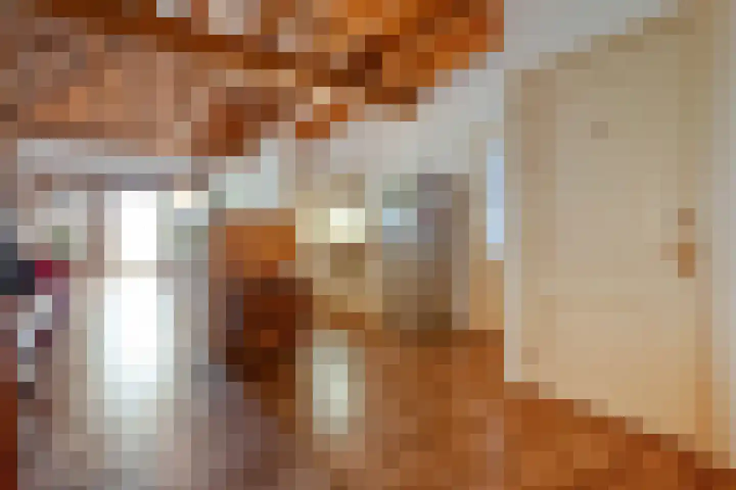 Dokter Larijweg 136 Ruinerwold thumbnail 56