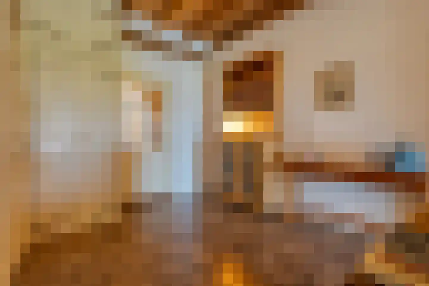Dokter Larijweg 136 Ruinerwold thumbnail 57
