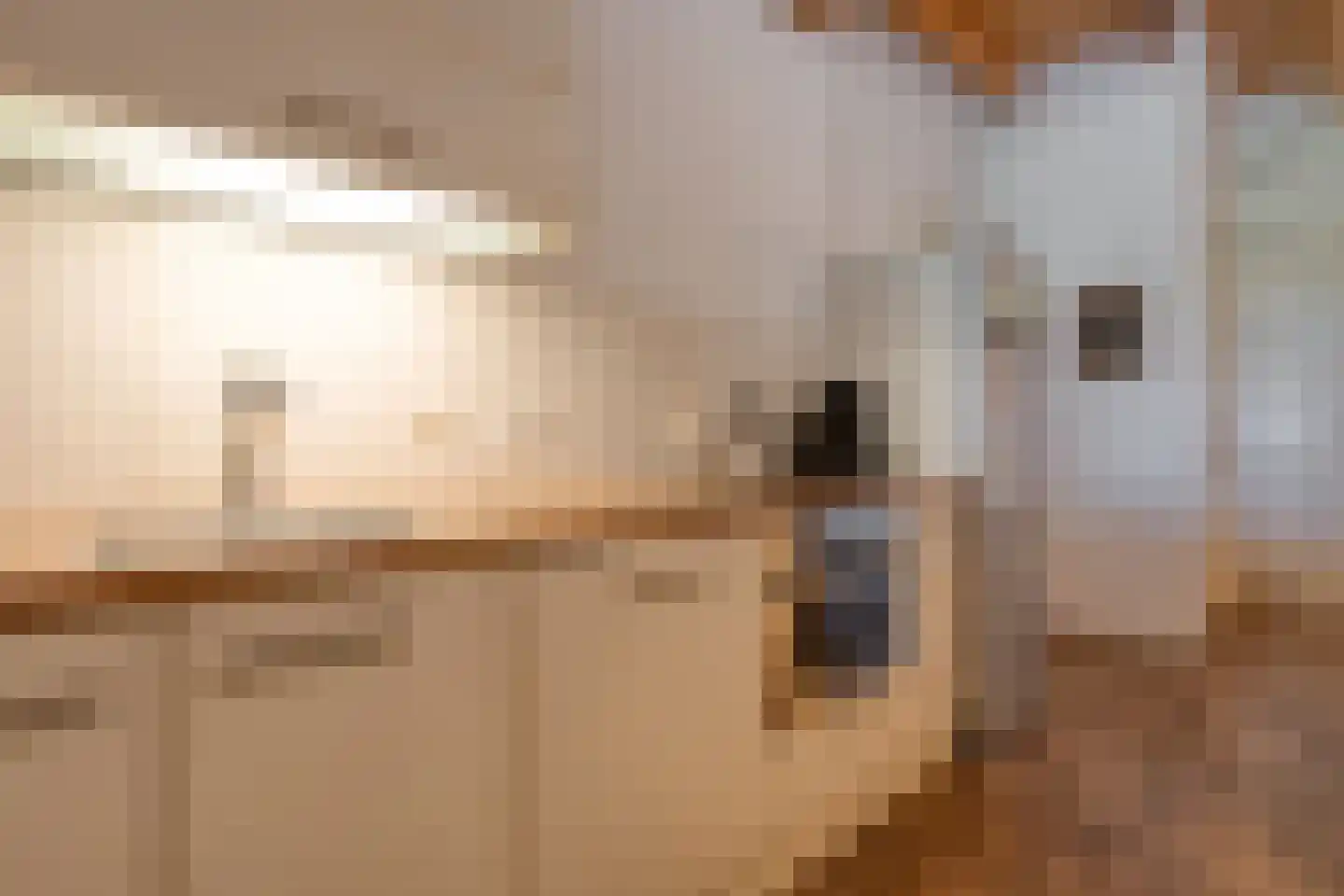 Dokter Larijweg 136 Ruinerwold thumbnail 59