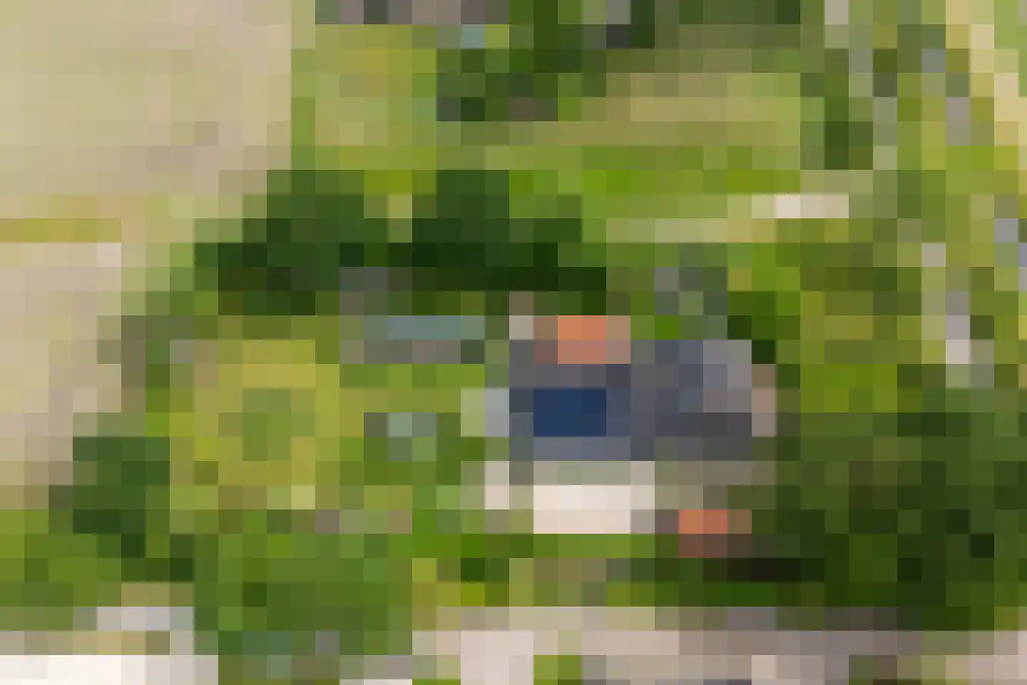 Dokter Larijweg 136 Ruinerwold thumbnail 6