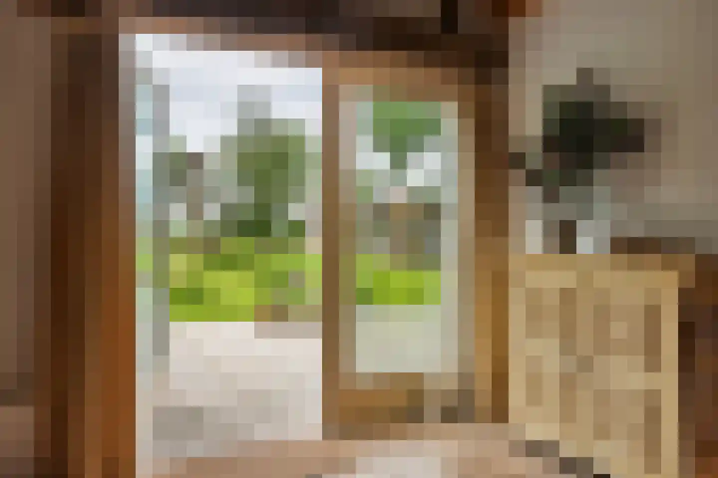 Dokter Larijweg 136 Ruinerwold thumbnail 61