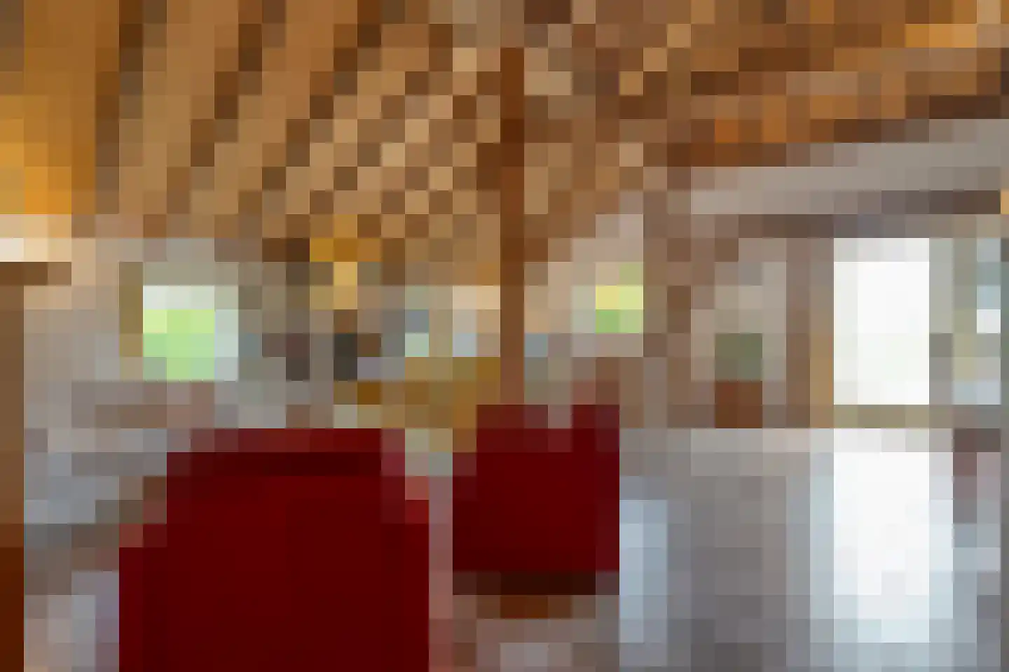 Dokter Larijweg 136 Ruinerwold thumbnail 62