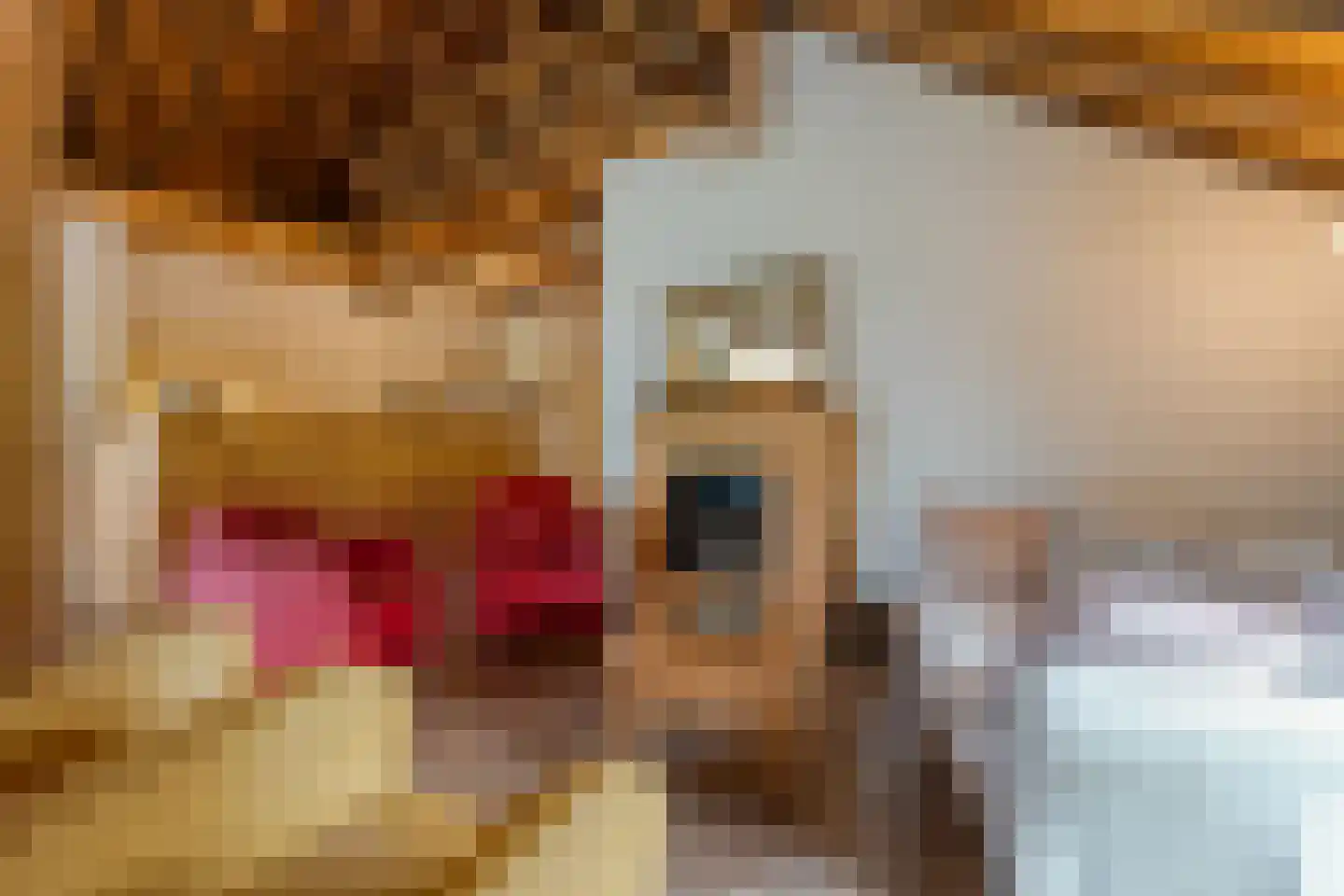 Dokter Larijweg 136 Ruinerwold thumbnail 63