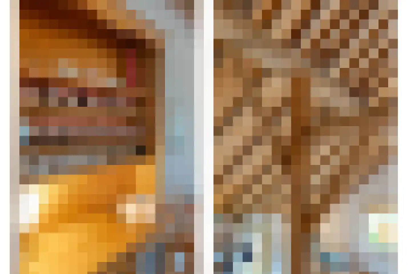 Dokter Larijweg 136 Ruinerwold thumbnail 64