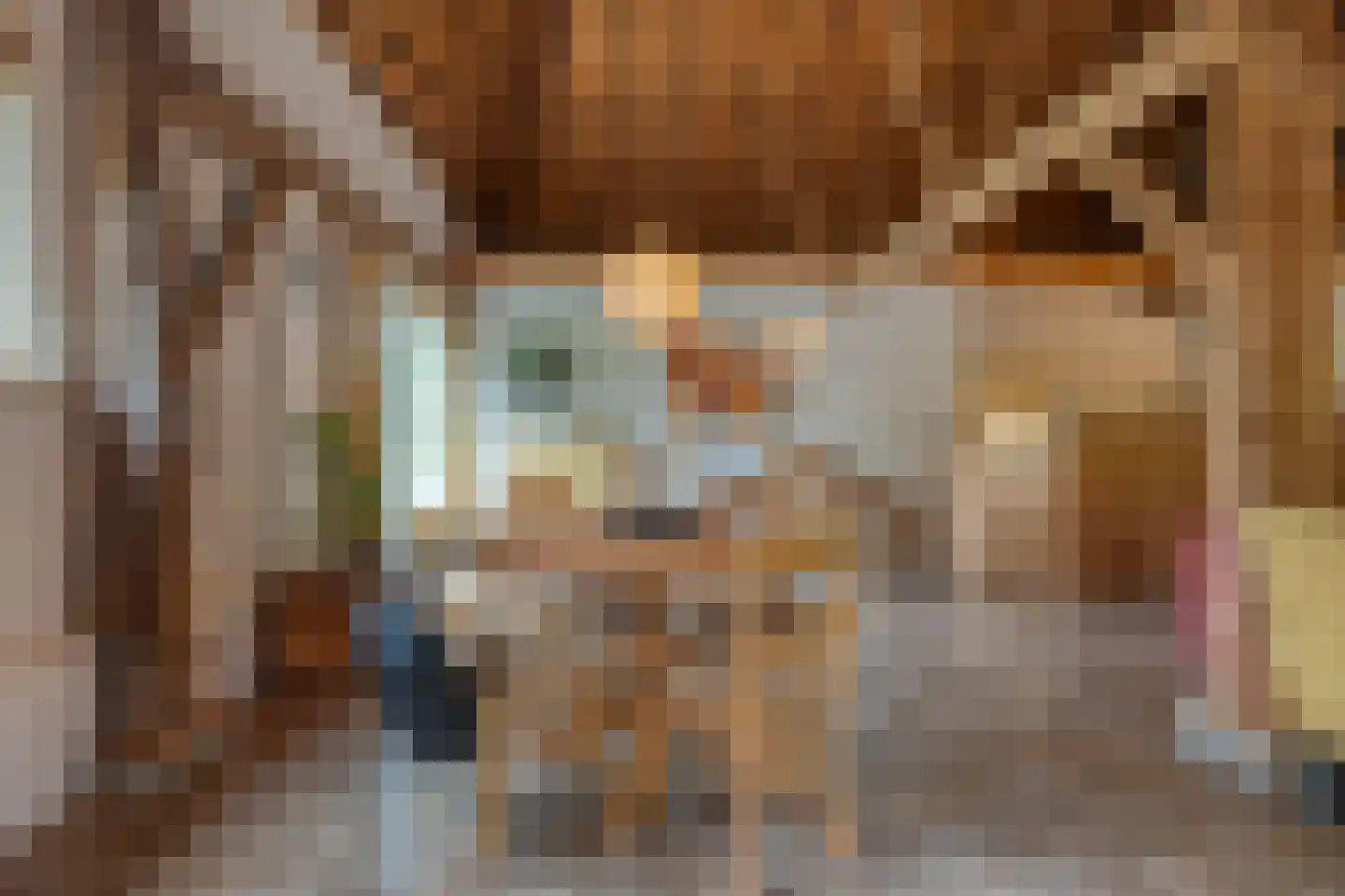 Dokter Larijweg 136 Ruinerwold thumbnail 65