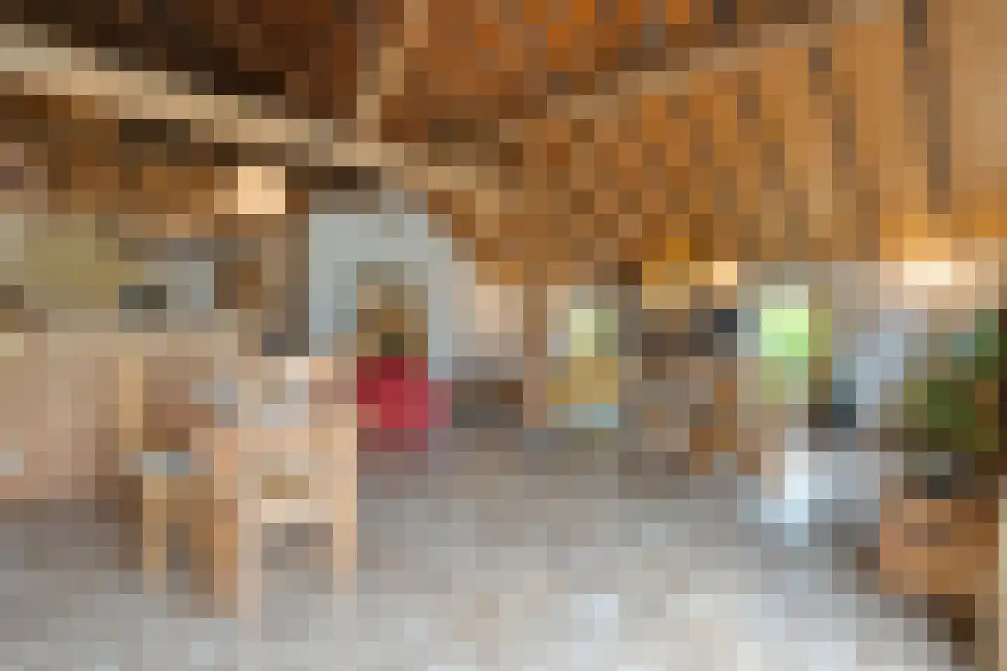 Dokter Larijweg 136 Ruinerwold thumbnail 66