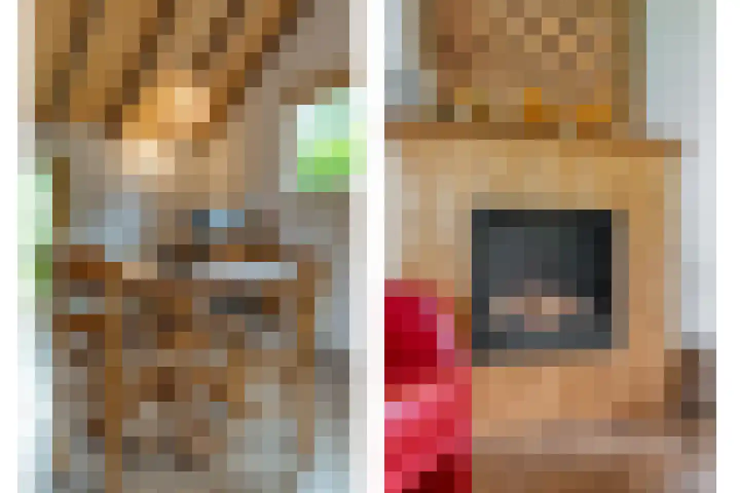 Dokter Larijweg 136 Ruinerwold thumbnail 67