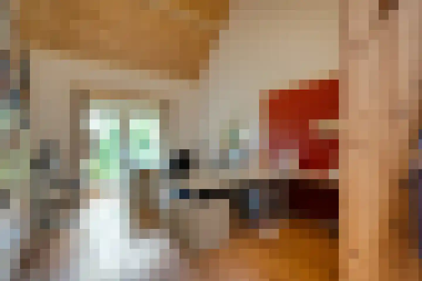 Dokter Larijweg 136 Ruinerwold thumbnail 69