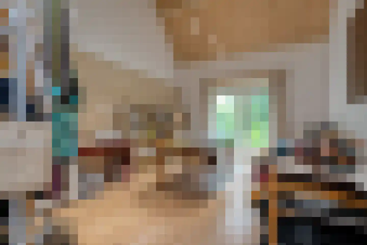 Dokter Larijweg 136 Ruinerwold thumbnail 70