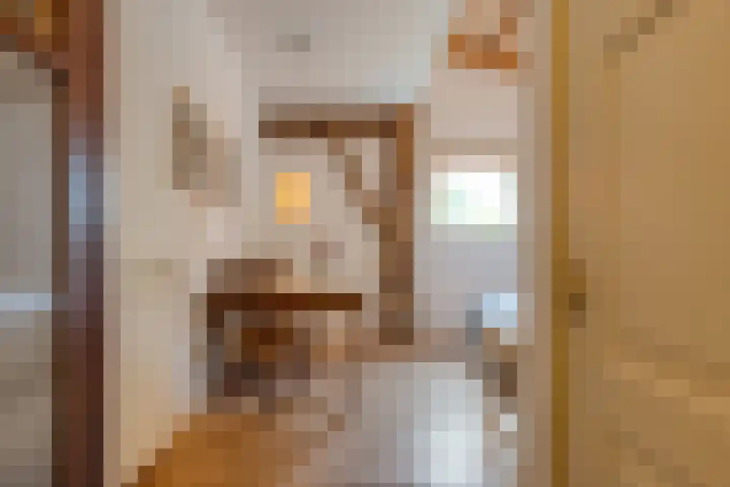 Dokter Larijweg 136 Ruinerwold thumbnail 71