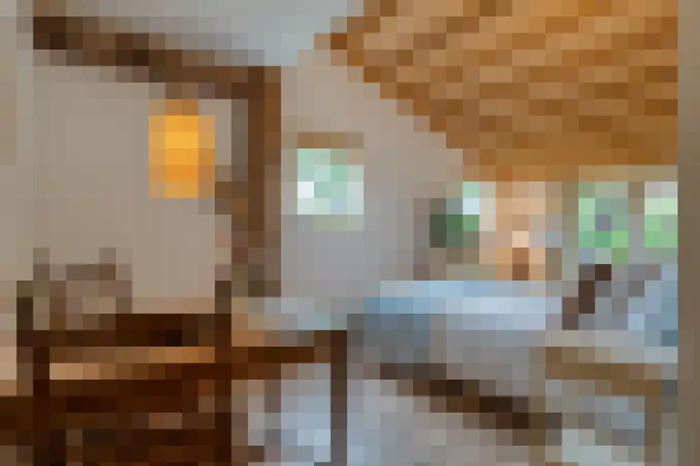 Dokter Larijweg 136 Ruinerwold thumbnail 72