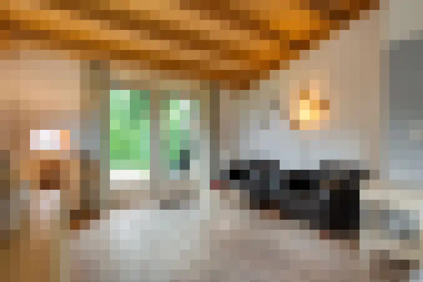 Dokter Larijweg 136 Ruinerwold thumbnail 74