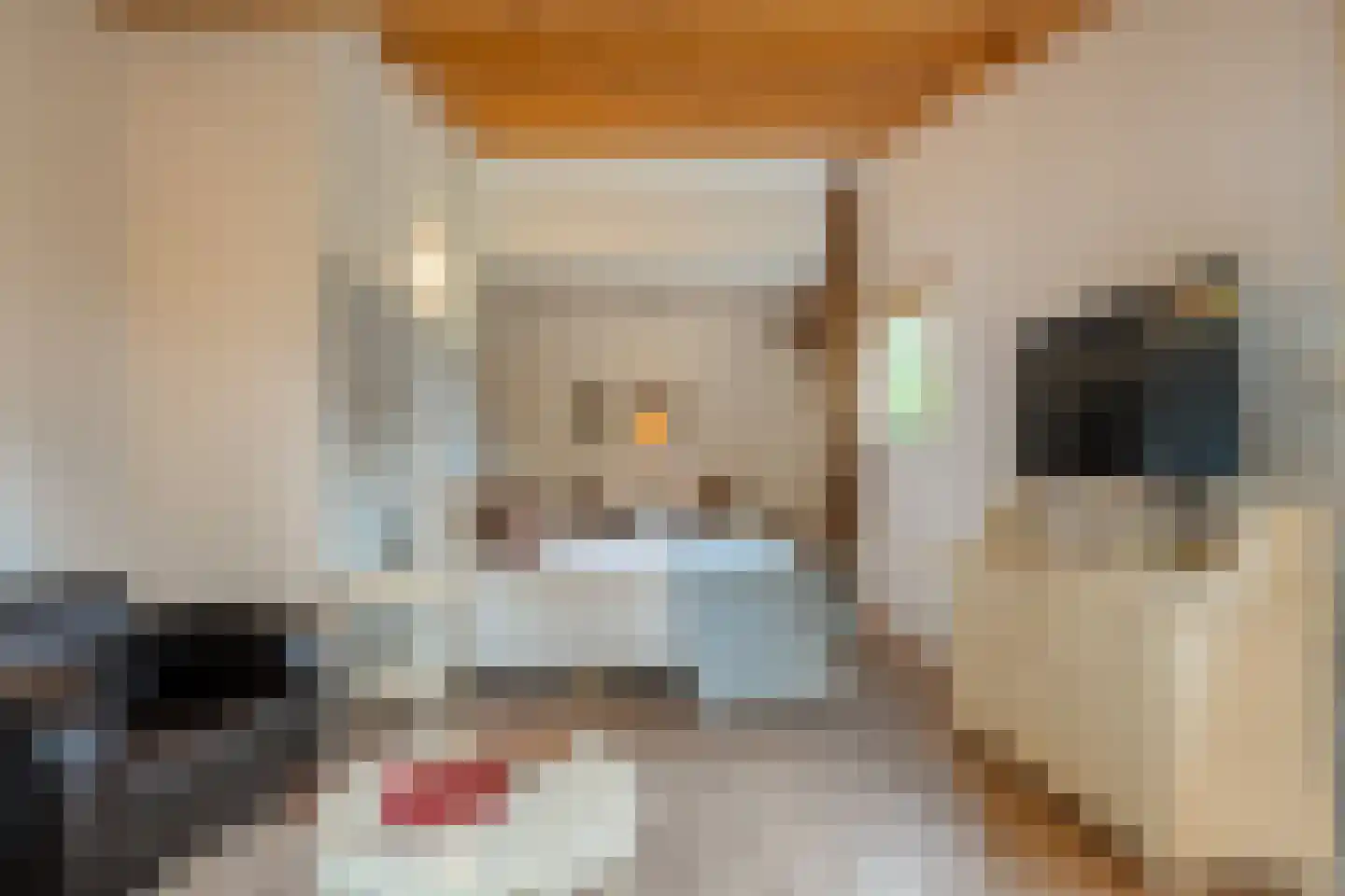 Dokter Larijweg 136 Ruinerwold thumbnail 75