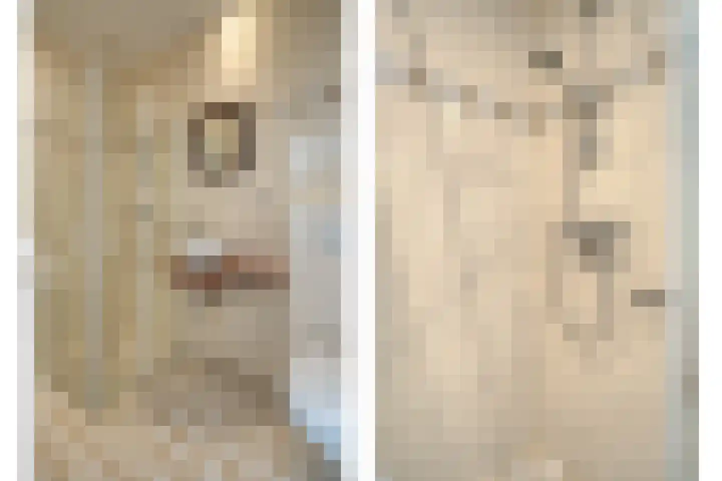 Dokter Larijweg 136 Ruinerwold thumbnail 78