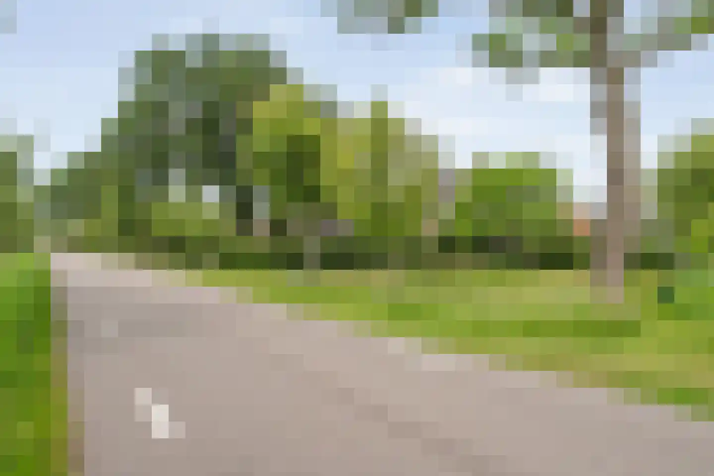 Dokter Larijweg 136 Ruinerwold thumbnail 8