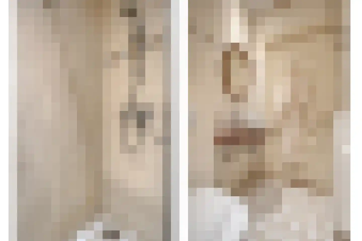 Dokter Larijweg 136 Ruinerwold thumbnail 80