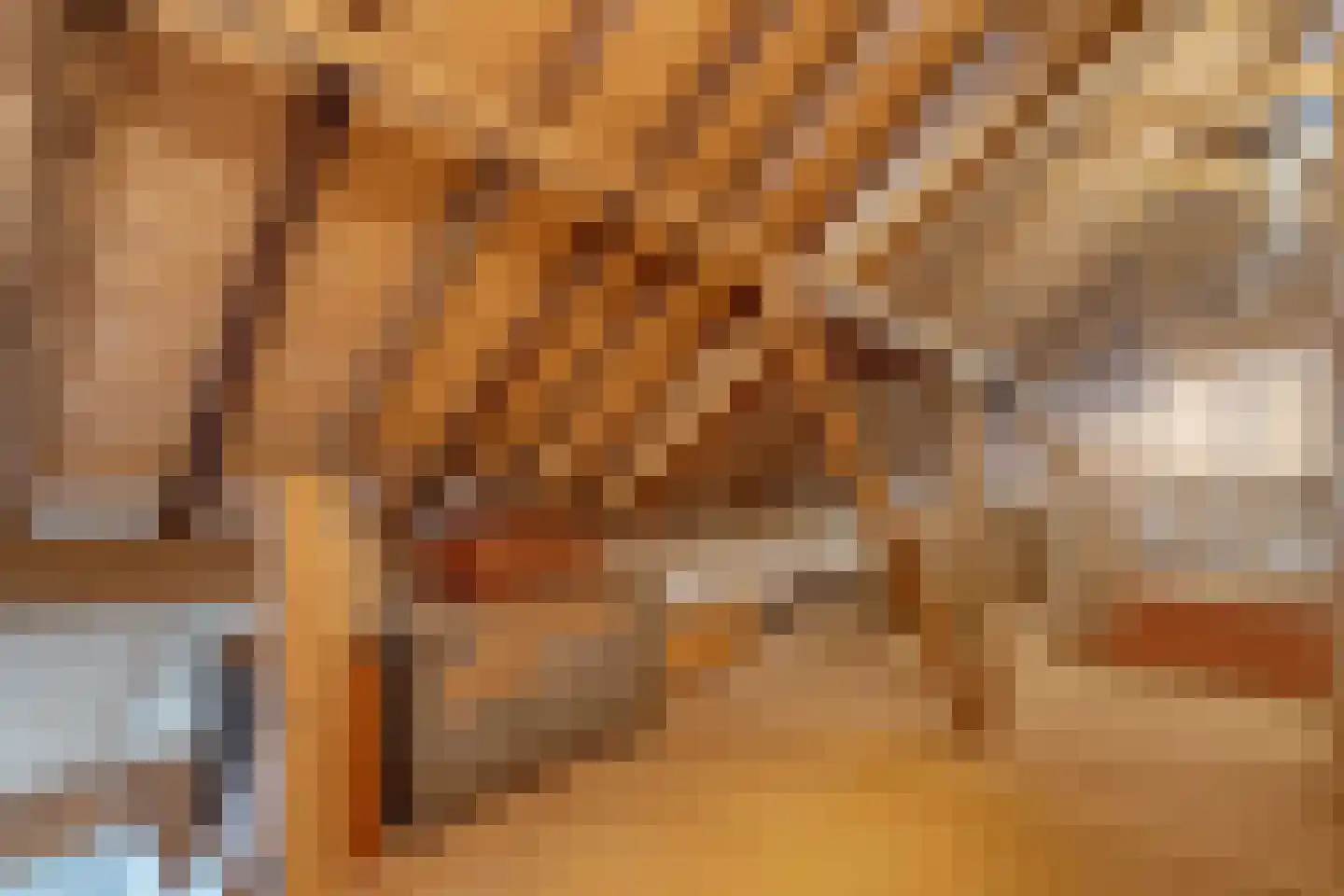 Dokter Larijweg 136 Ruinerwold thumbnail 81