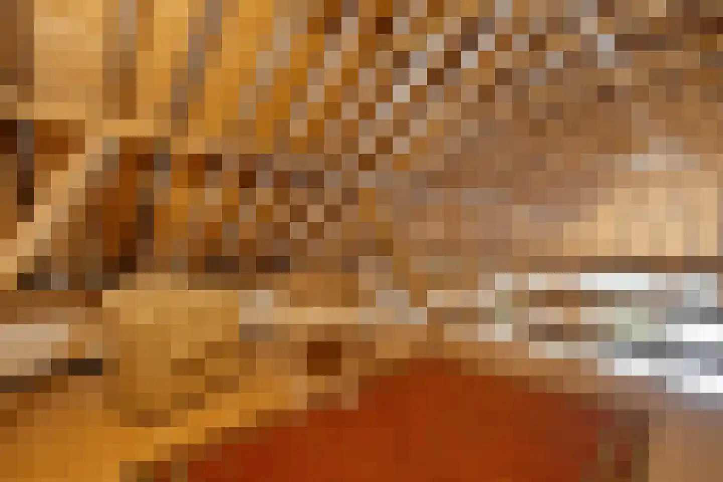 Dokter Larijweg 136 Ruinerwold thumbnail 83
