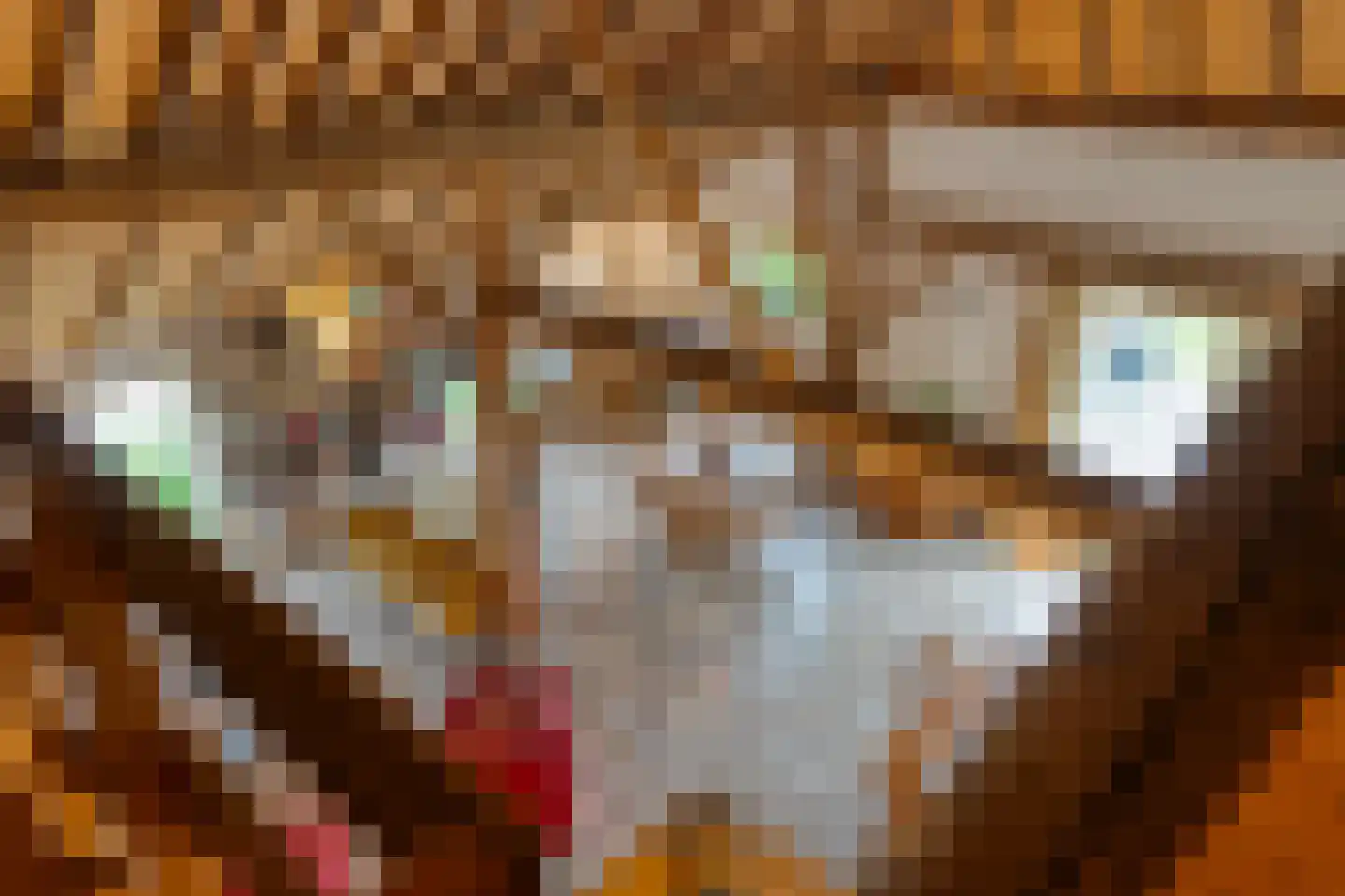 Dokter Larijweg 136 Ruinerwold thumbnail 84