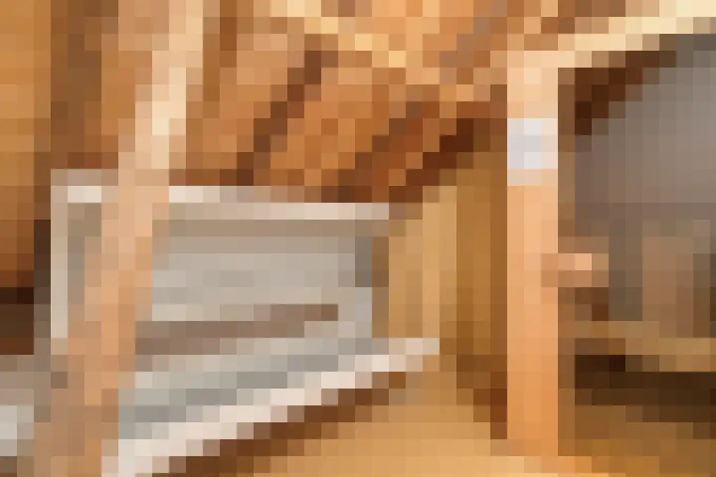 Dokter Larijweg 136 Ruinerwold thumbnail 85