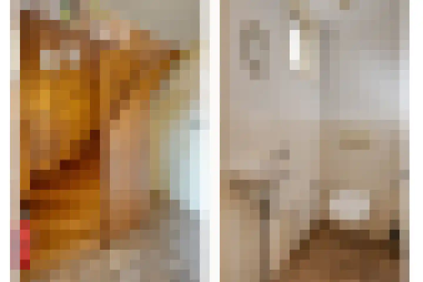 Dokter Larijweg 136 Ruinerwold thumbnail 88