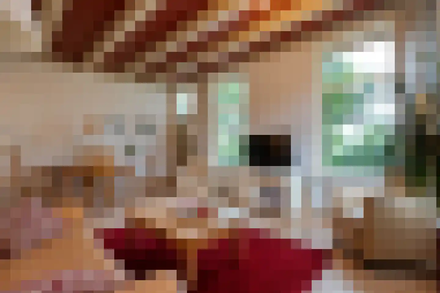 Dokter Larijweg 136 Ruinerwold thumbnail 92