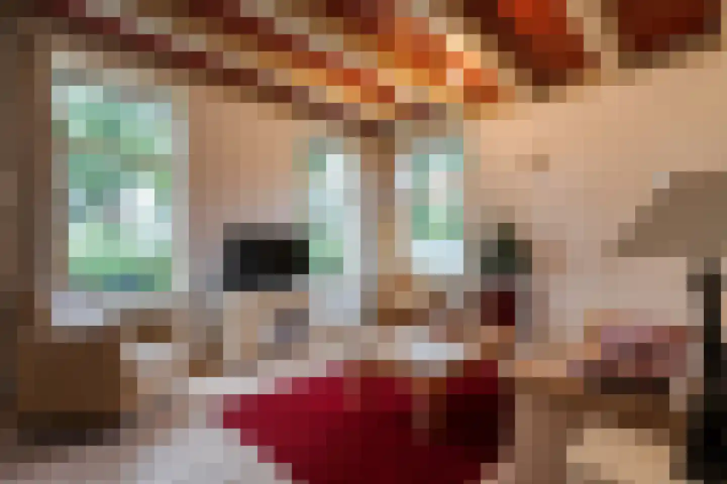 Dokter Larijweg 136 Ruinerwold thumbnail 93