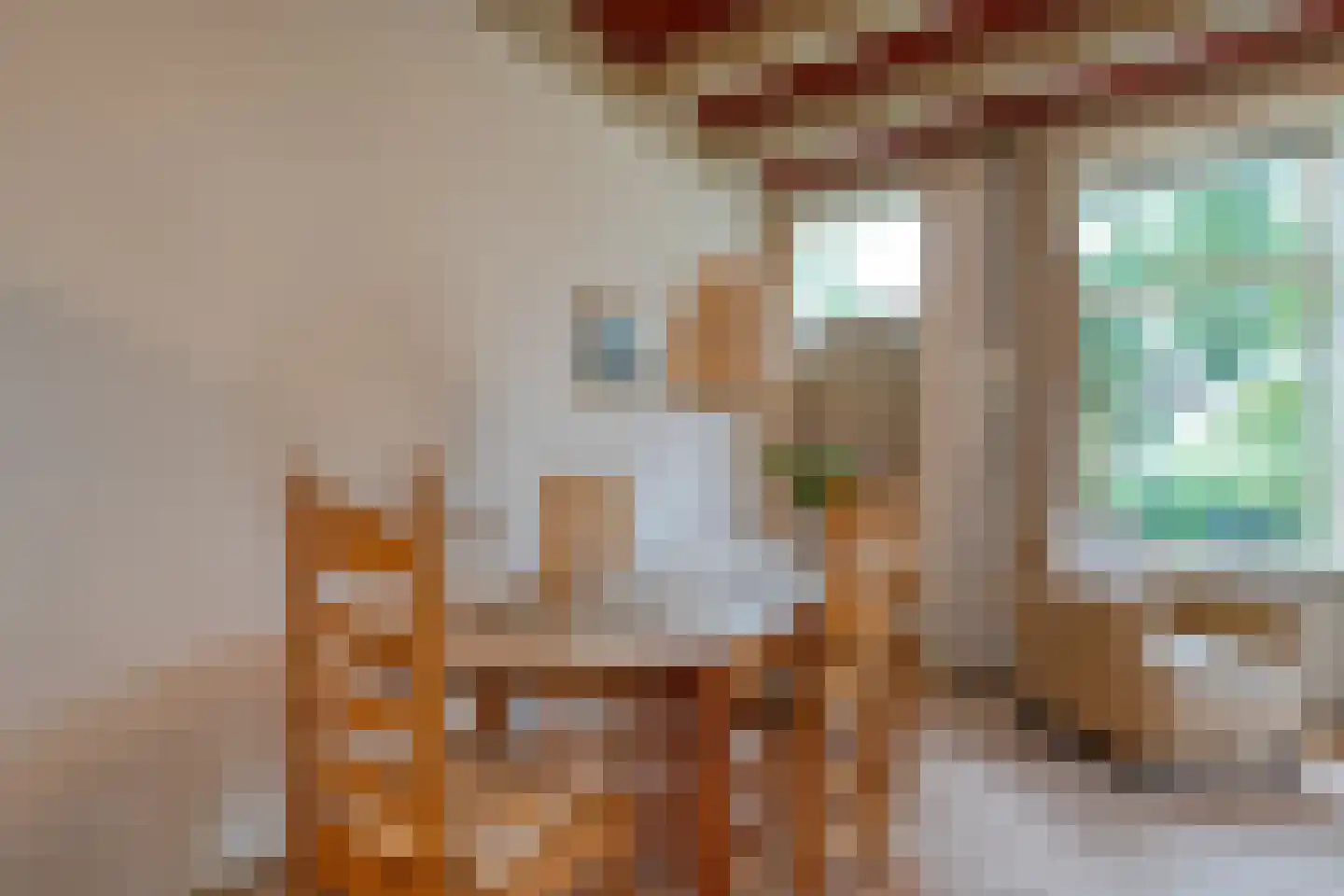 Dokter Larijweg 136 Ruinerwold thumbnail 94