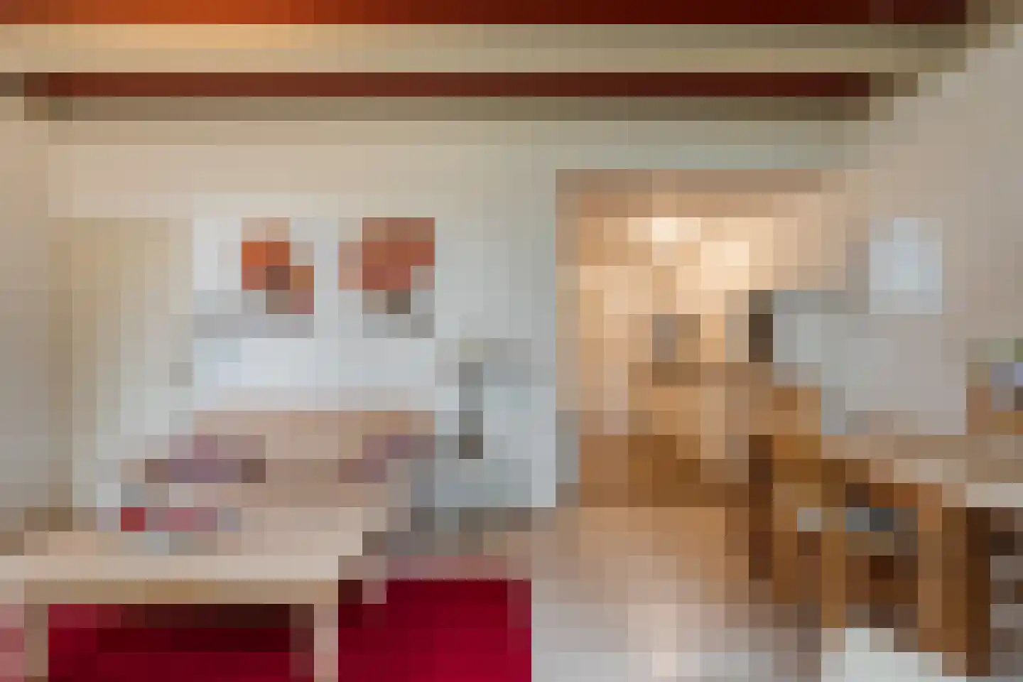 Dokter Larijweg 136 Ruinerwold thumbnail 95
