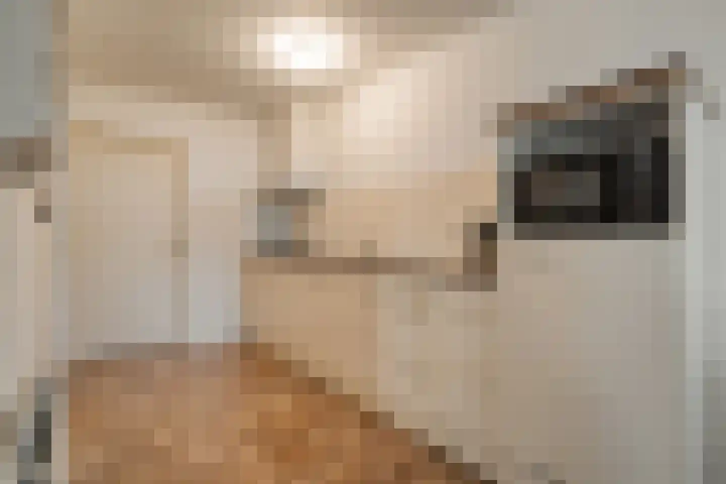 Dokter Larijweg 136 Ruinerwold thumbnail 97