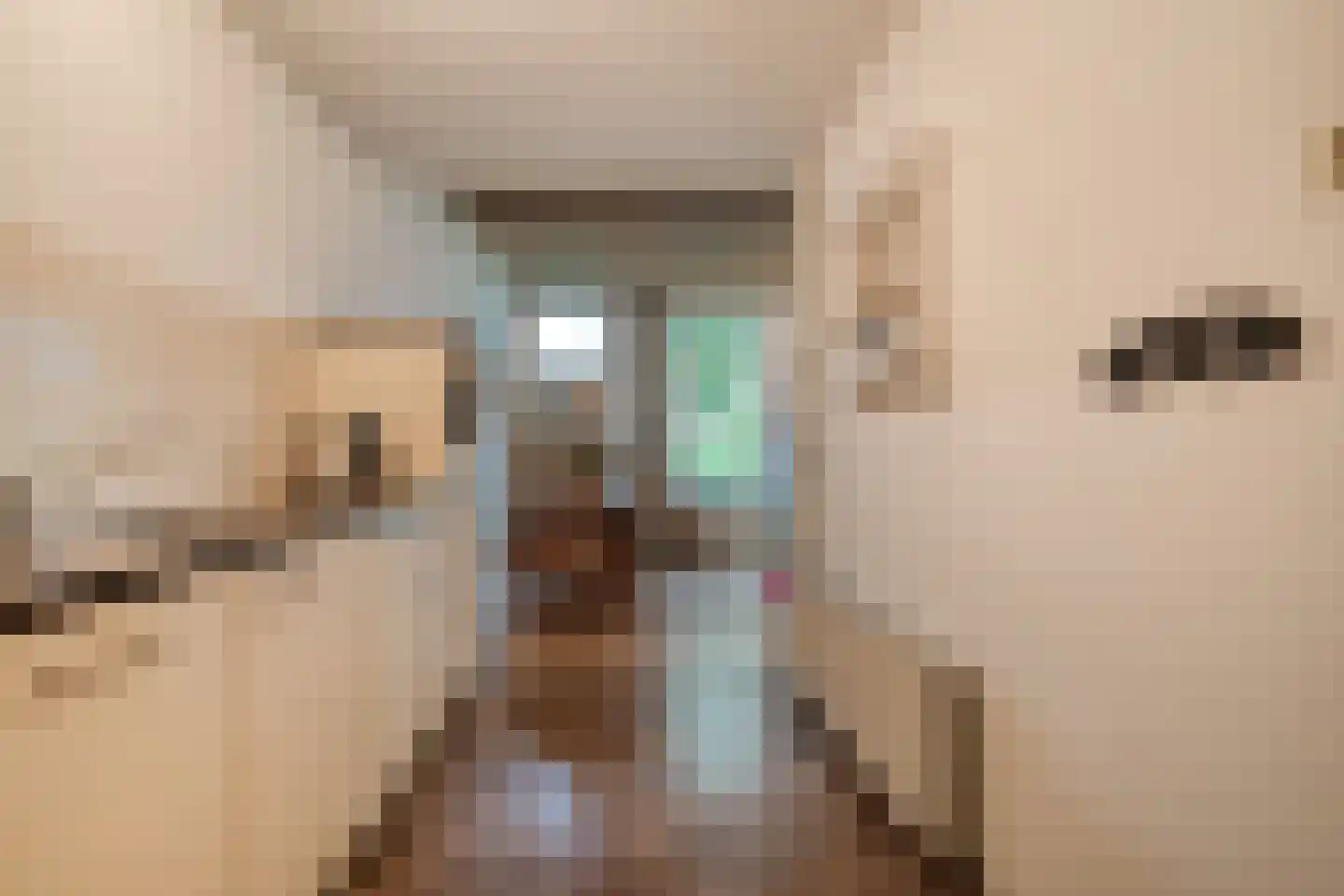 Dokter Larijweg 136 Ruinerwold thumbnail 98