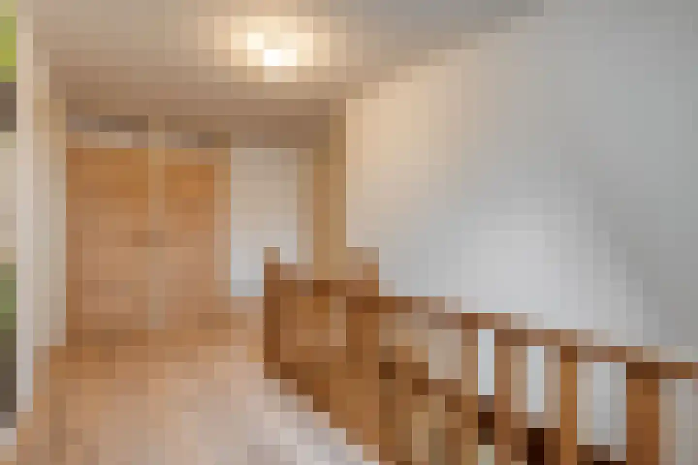 Dokter Larijweg 136 Ruinerwold thumbnail 99
