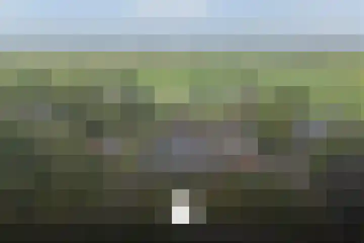 Dokter Larijweg 171 Ruinerwold thumbnail 10