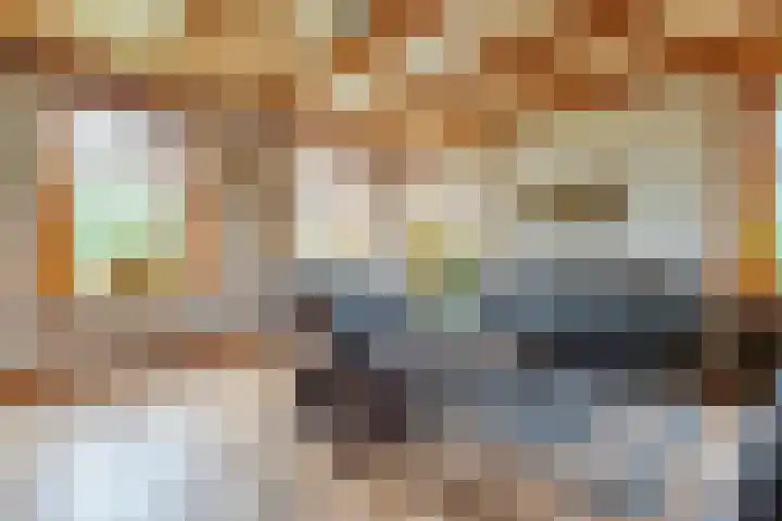 Dokter Larijweg 171 Ruinerwold thumbnail 11