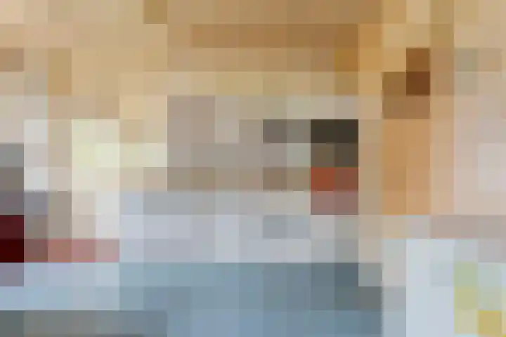 Dokter Larijweg 171 Ruinerwold thumbnail 13