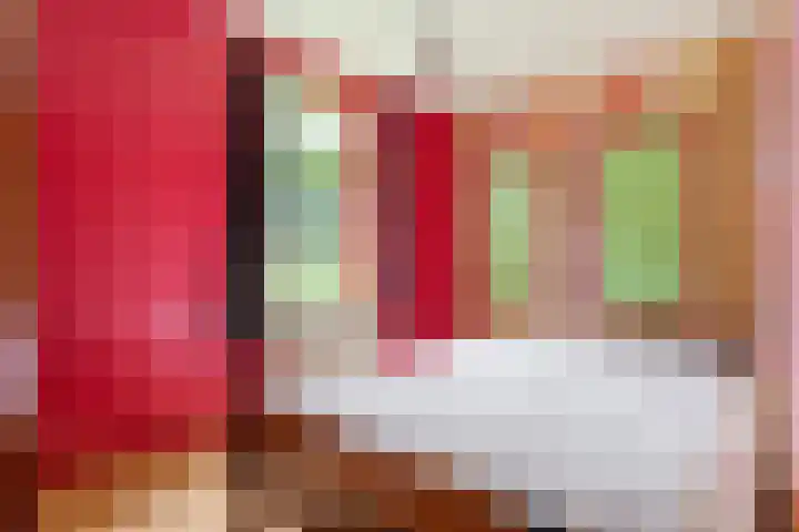 Dokter Larijweg 171 Ruinerwold thumbnail 16