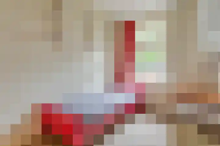 Dokter Larijweg 171 Ruinerwold thumbnail 17