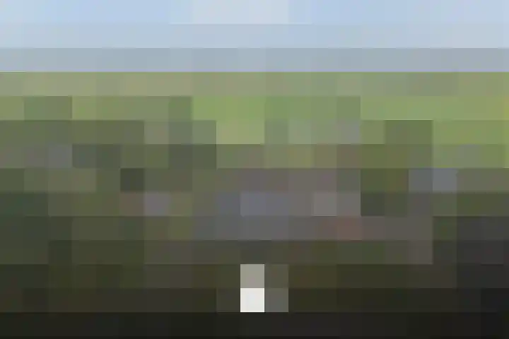 Dokter Larijweg 171 Ruinerwold thumbnail 19