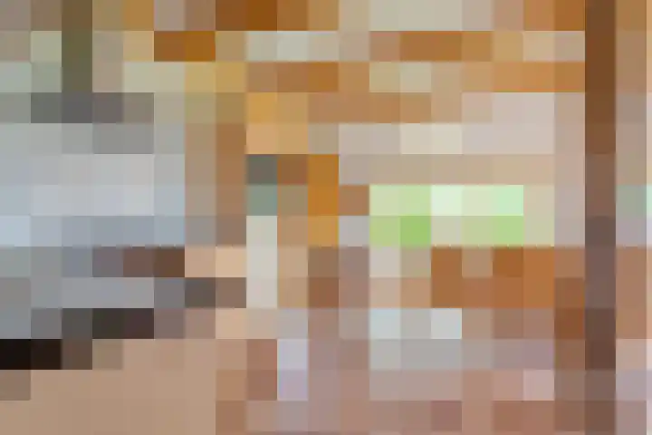 Dokter Larijweg 171 Ruinerwold thumbnail 21