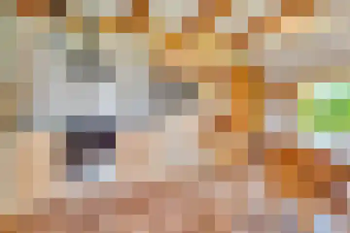 Dokter Larijweg 171 Ruinerwold thumbnail 22
