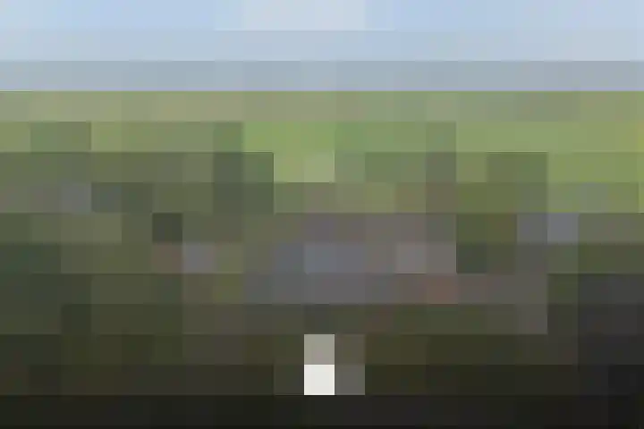 Dokter Larijweg 171 Ruinerwold thumbnail 32