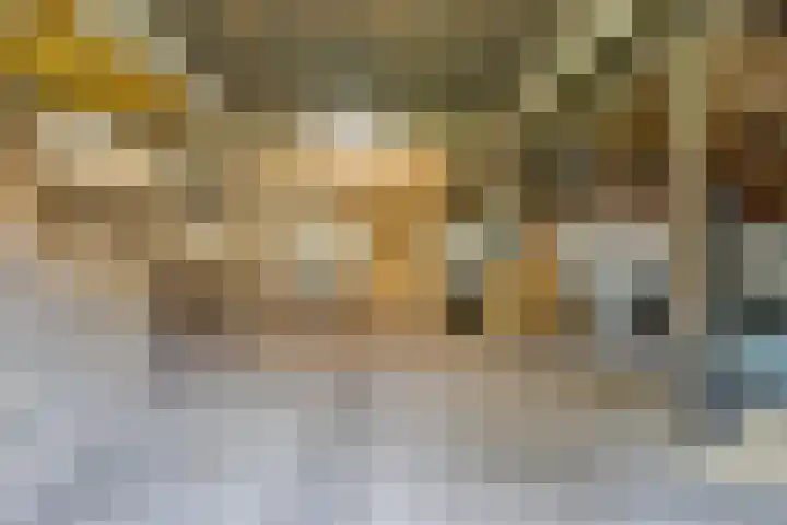 Dokter Larijweg 171 Ruinerwold thumbnail 33