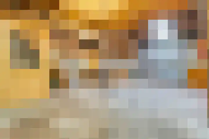 Dokter Larijweg 171 Ruinerwold thumbnail 34