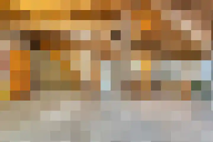 Dokter Larijweg 171 Ruinerwold thumbnail 36