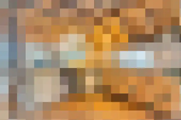 Dokter Larijweg 171 Ruinerwold thumbnail 37