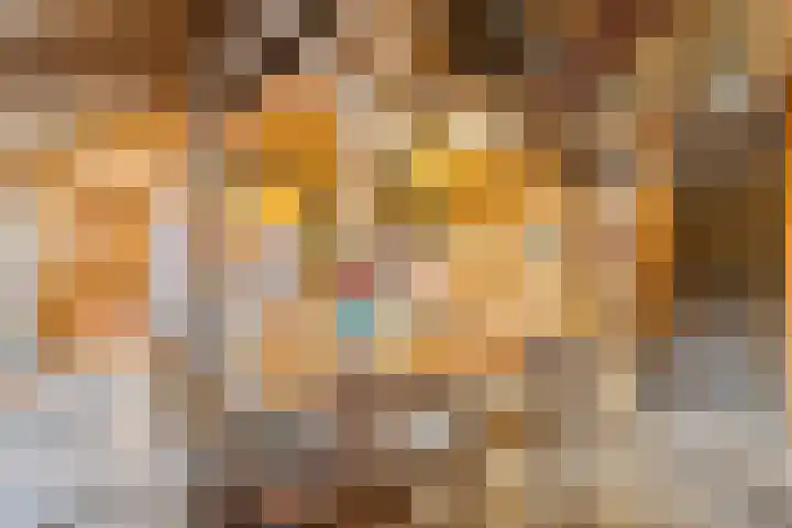 Dokter Larijweg 171 Ruinerwold thumbnail 38